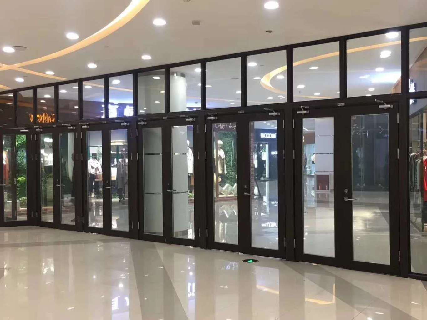Steel fire - resistant glass partition door